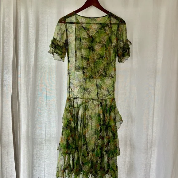 Antique 1920s Sheer Chiffon Drop Waist Dress - Picture 3 of 4